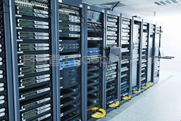 網(wǎng)絡(luò)服務(wù)器室與數(shù)據(jù)庫(kù)服務(wù) 數(shù)字化時(shí)代的核心基石