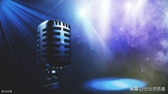 音樂類網(wǎng)絡(luò)文化經(jīng)營許可證審批機(jī)構(gòu)及互聯(lián)網(wǎng)信息咨詢服務(wù)